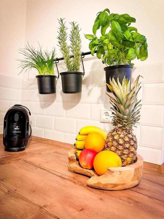 Schoenes Modernes Einfamilienhaus Fuer 1 Bis 6 Personen Rimpar Exterior foto